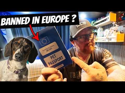 UK/EU Pet Passports 🚨 BREAKING NEWS 🚨