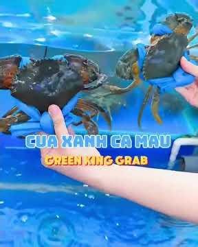 AWAKEN YOUR TASTE BUDS WITH A FEAST OF FRESH SEAFOOD AT LUONG SON PORT