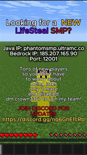 #minecraft #javaisawesome #lifesteal #minecraftserver #viralshorts #bedrock