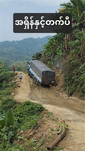 Full Throttle Up the Hill! 🚛💨 Watch till the end!