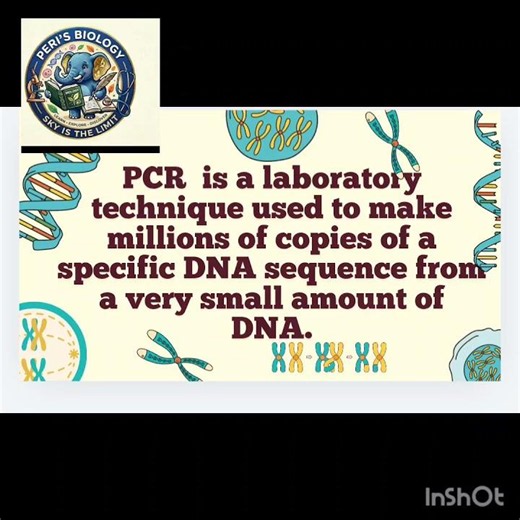 #4 PCR in 3 Simple Steps 🧬 | DNA Amplification | PCR Basics for PG TRBI KSETICSIR-NET