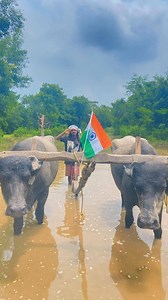 *Happy Independence Day* May the tricolor always fly high and our nation continue to prosper 🇮🇳 Bobble.in/IndependenceDay | Ram Mardi
