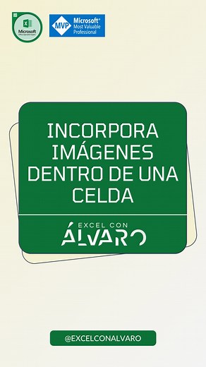 Aprende cómo insertar una imagen dentro de una celda en Excel para que se ajuste perfectamente sin moverse, y además cómo agregar un nombre con una descripción ALT para mayor accesibilidad y organización. En este tutorial, te mostraré paso a paso cómo hacerlo de forma sencilla y práctica. ¡Optimiza tus hojas de cálculo con imágenes bien integradas! #Excel #tutorialexcel #trucosexcel #insertarImagen #gestiónDeDatos #formatoExcel #productividad #accesibilidad #oficina #ayudaexcel #solucionesrapida