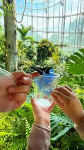 13K views · 100 reactions | Releasing beautiful butterflies at Cockrell Butterfly Museum inside the Houston Museum of Natural Science. 曆 Things to do in Houston. Houston fun things to do. Houston Museum of Natural Science. Butterfly Museum Houston. Houston Fun. Date Ideas Houston. | The Texas Family | Facebook