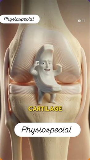 meniscus 3d animation