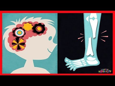 Toca Doctor - Let's Play Doctor | Toca Boca Gameplay