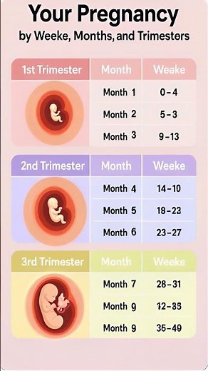 What happens to your baby each month during pregnancy #pregnancy #pregnancyjourney #shorts