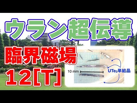 [Uranium superconductivity] Exceeding expectations: 12 Tesla, paving the way for next-generation ...