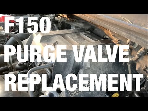 Ford F-150 2015 2.7L Purge Valve Solenoid | Fuel Line Bracket Replacement (GL3Z-9B325-B) P2450