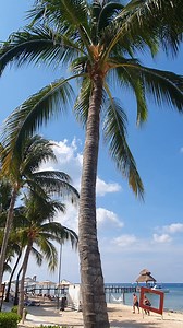 Paradise awaits! 🌴🌊 Immerse yourself in stunning ocean views and unwind on your private lounge bed with our Preferred Club Beachfront. Your perfect beach escape is just a booking away http://spr.ly/6182P2NZC | Secrets Aura Cozumel