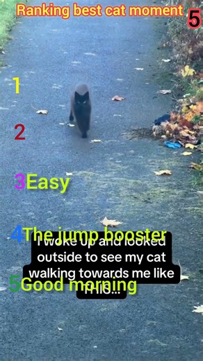 Get ready to laugh!😂