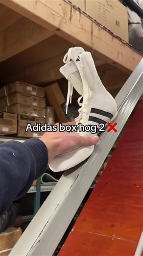 Adidas Box Hog Comparison: Which One Suits You?