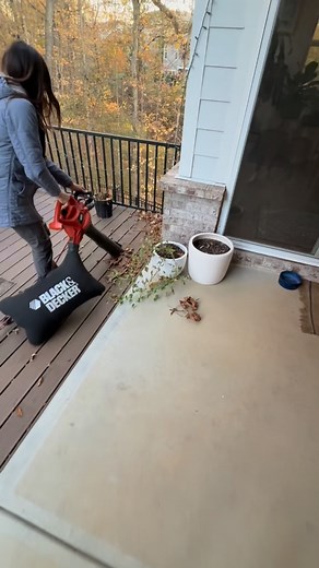 Creating mulch onsite. It’s free, available and eliminates the movement of invasive insect and plant species. There are pros and cons to every mulch choice and everyone is welcome to make the choice that fits their space and needs. I shred leaves as soon as they fall as to lessen the chances of sucking up beneficial insects. Keep in mind, arborist woods chips and other forms of wood mulcb also have the potential negatively affect insects and in the case of larger trees being cut down, birds and 