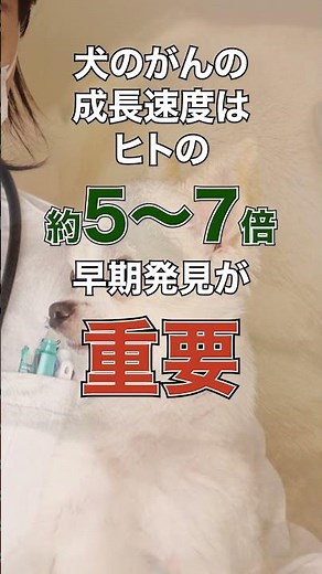 血液による犬のがん検査「リキッドバイオプシー」『Cancer D-5Ark TEST』