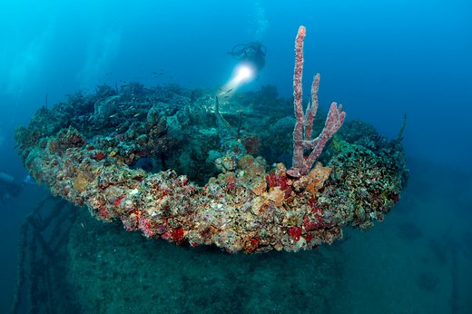 The waters off Marathon are home to the wreck of Thunderbolt, a 188-foot cable layer that later served as a research vessel to explore the electrical energy of lightning strikes. “T-bolt” is referred to as the queen of the Marathon wreck fleet. Let’s take a tour. | The Florida Keys & Key West