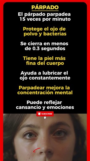 Datos Impactantes del Párpado que No Sabías 😳