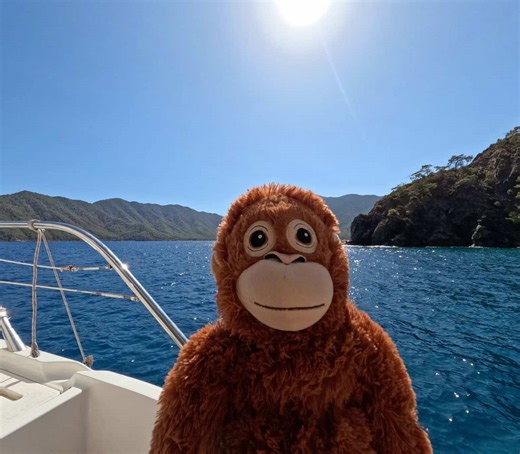 ‏#fyp ##xyzbca #daydreaming #songs #playlist