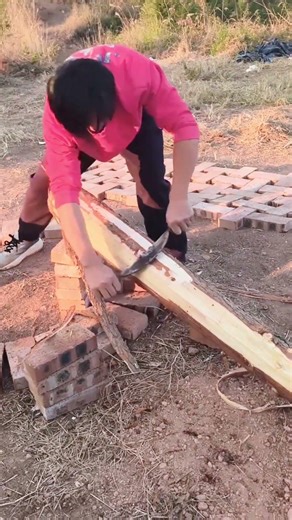 the process of manually cleaning the bark #process #manually #cleaning #bark