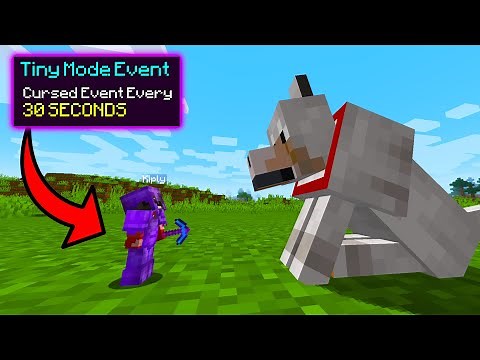 Minecraft, But Random Chaos Happens Every Minute...