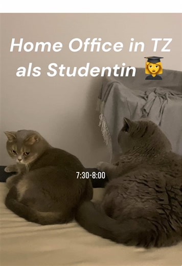 Home Office Alltag 👩‍💻 #fyp #foryou #viral #homeoffice #workfromhome