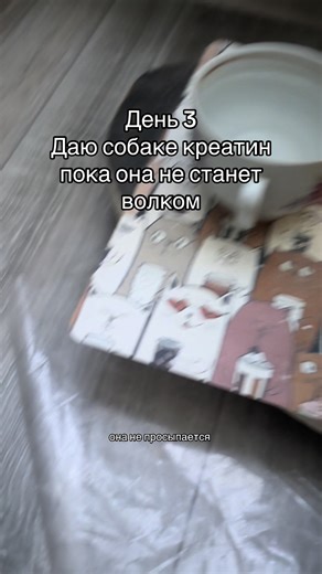 Креатин, пожалуй, одна из самых известных добавок, доступных на рынке. Его хвалили и критиковали за его эффективность, и его часто ошибочно считали опасным веществом. Если ваши подопечные спрашивают вас про креатин, то неплохо было бы блеснуть своей эрудированностью о том, что это такое и откуда появилось. Эта статья вам поможет узнать нужную информацию про историю креатина. Так что же такое креатин и откуда он взялся? Если говорить просто, креатин представляет собой соединение, образующееся в п