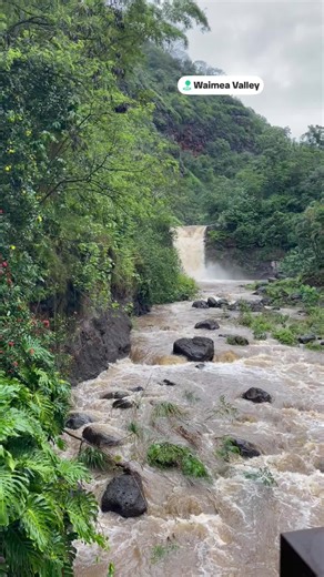 Exploring the Paradise of Oahu's Waterfalls