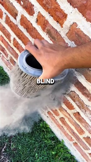 Navigating Life with Color Blindness: A Personal Story