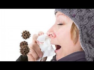 Understanding the Common Cold: Causes, Effects, and Prevention
