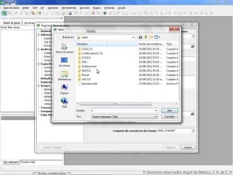 Manejo de base de datos: Apertura y edición con IBExpert