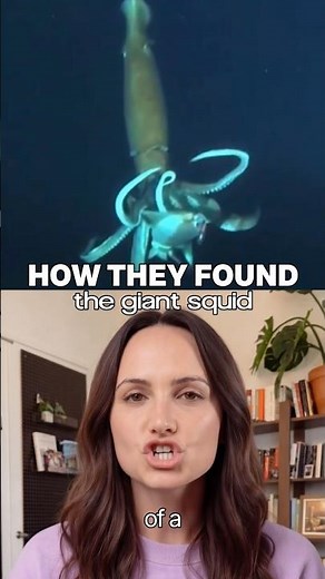 Giant squid first natural-habitat footage#giantsquid #deepseafilming #marinetech
