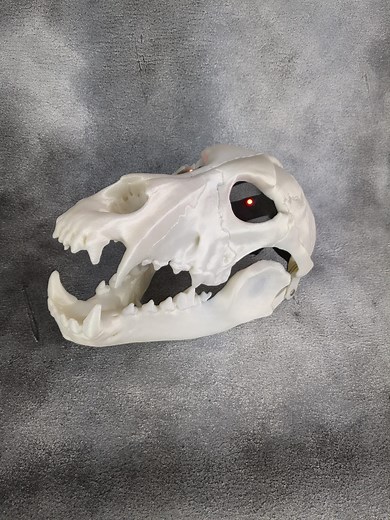 3D Printed Wolf Skull Mask With Moving Jaw - Cosplay Halloween Mask - Etsy