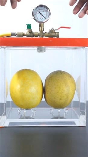 Nex lab on Instagram: "🍈🍊💨😱 Cantaloupe vs Pomelo Inside a Vacuum — Watch What Happens!"