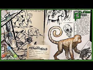 Ark basics Mesopithecus - ALL YOU NEED TO KNOW ABOUT MY FAVORITE
