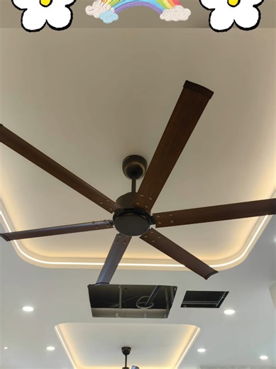 Expert Plaster Ceiling Services