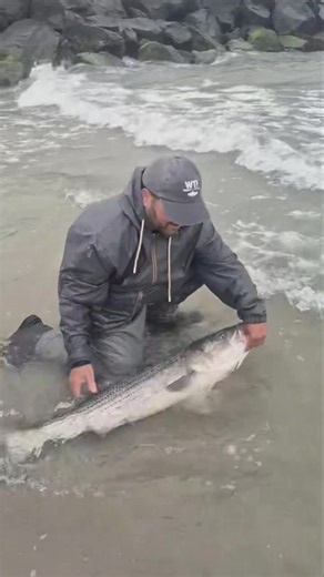 205K views · 3.2K reactions | Full-blown blitz #Big #bass& #Bluefish...