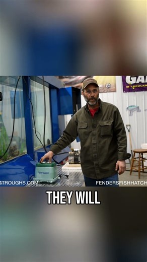 Hiblow Pump- Extreme Cold Diaphragm Compressor