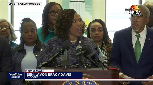 Sen. Lavon Bracy Davis calls eliminating racial quota laws 'history blind'