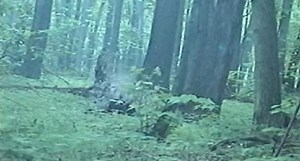 Watch This Turkey Explode from 5 Yards Away