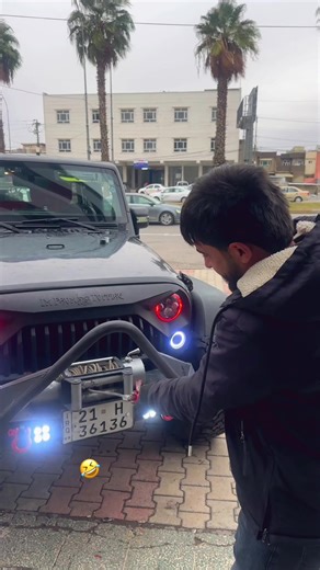 Momin Kamalyat: Hemn Kamalyat Insights