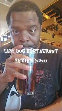 Lazy Dog Restaurant Review (2025) #lazydogs #foodie #viral
