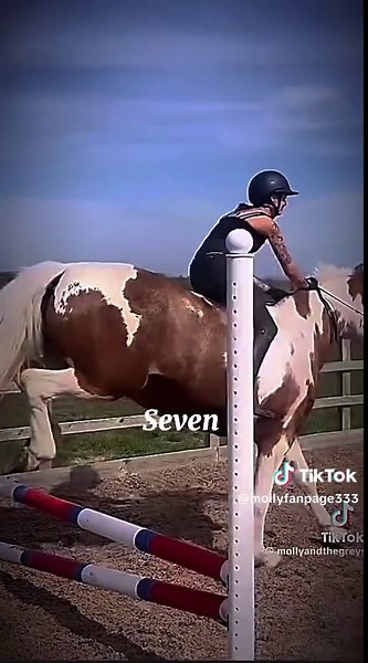 Icl I love this sm lowkey took me two hours but oh well 😭@molly & the greys #fyp #foryoupage #foryou #xyzabc #xcyzba