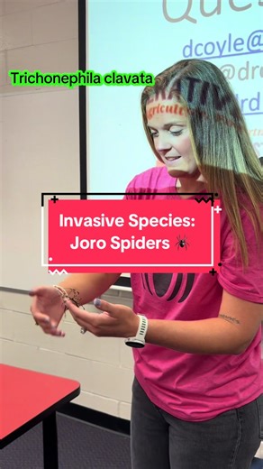 Joro Spiders: Teaching Kids About Invasive Species