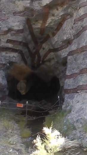 Exploring the Mysterious Horton Mine - Creepy Encounters Revealed | TikTok