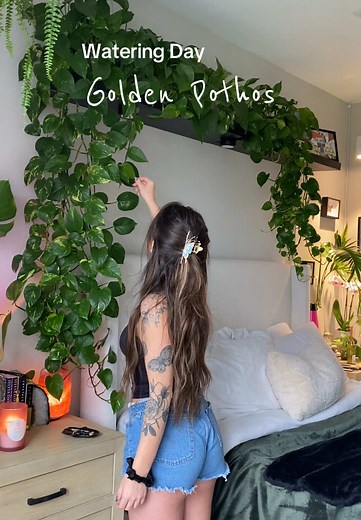 Golden Pothos Care Tips for Healthy Plants