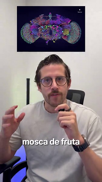 🪰 Copiaron el cerebro de una mosca, neurona por neurona, y lo instalaron en un simulador virtual. Sin IA. Sin entrenamiento. Solo el cableado biológico exacto. 🧠💻 Y funcionó. La línea se está cruzando ahora mismo. 🪰⚡ #Neurociencia #Tecnología #Ciencia #InteligenciaArtificial #WholeBrainEmulation #Conectoma #Futuro #EonSystems #CienciaViral #TikTokCiencia #AprendeEnTikTok #Innovación #Singularidad #IA #CienciaYTecnología