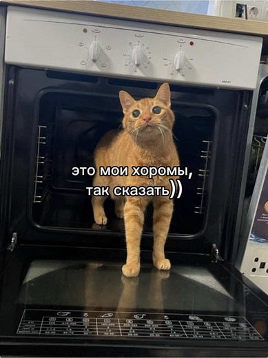 Обычный дом из итальянского мрамора
