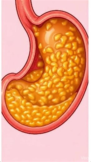 The Digestive System| Fun & Easy for Kids! #followandsubscribe #learning