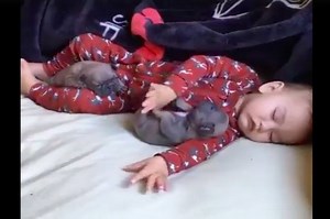 This Baby and Puppy Nap Session Will Melt Your Heart | theAsianparent Philippines