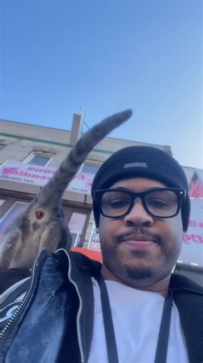 My Kitten poop on me #tiktok #cat #poop #everyone | cat