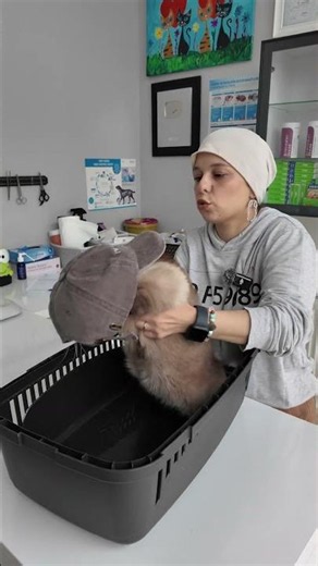 Cat caught with a hat😅😅